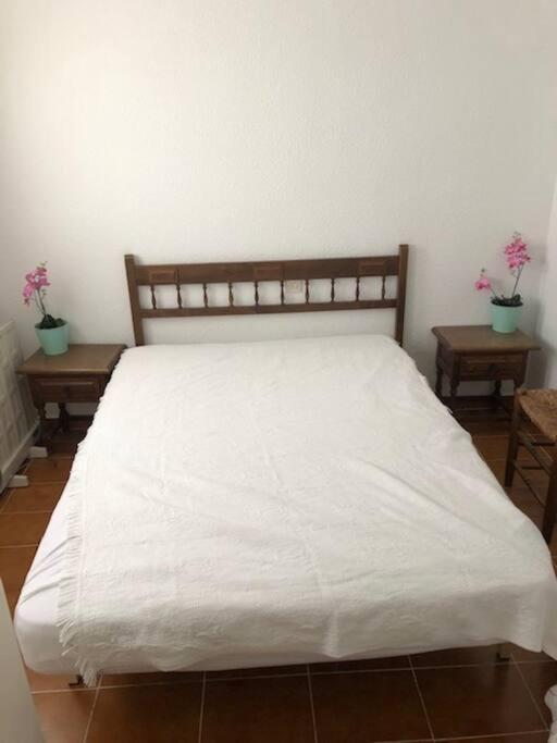 Bungalow In Moorse Stijl เอลกัมเปโญ ภายนอก รูปภาพ